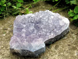 Amethyst Cluster