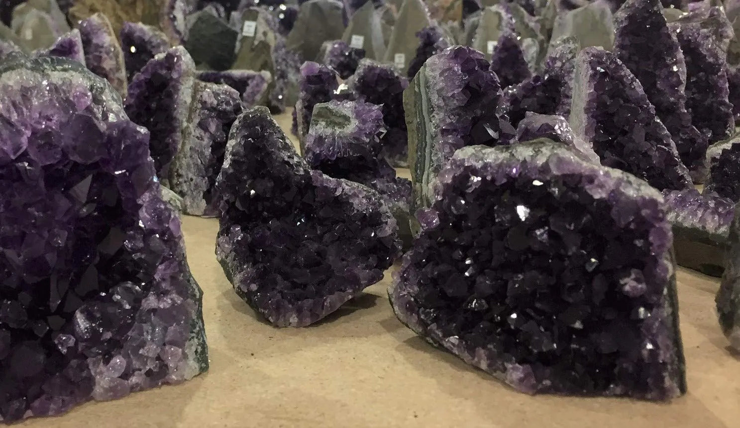 Extreme Amethyst Cluster – .5 to 1 Pound of Powerful deep Purple Crystals from Uruguay. Includes Bonus Selenite.