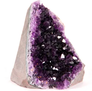 Extreme Amethyst Cluster – .5 to 1 Pound of Powerful deep Purple Crystals from Uruguay. Includes Bonus Selenite.