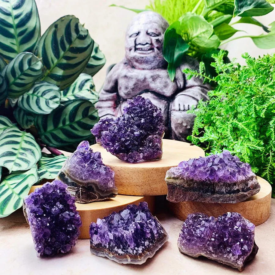 FREE GIVEAWAY! Mini Amethyst Cluster (Just Pay Cost of Shipping)