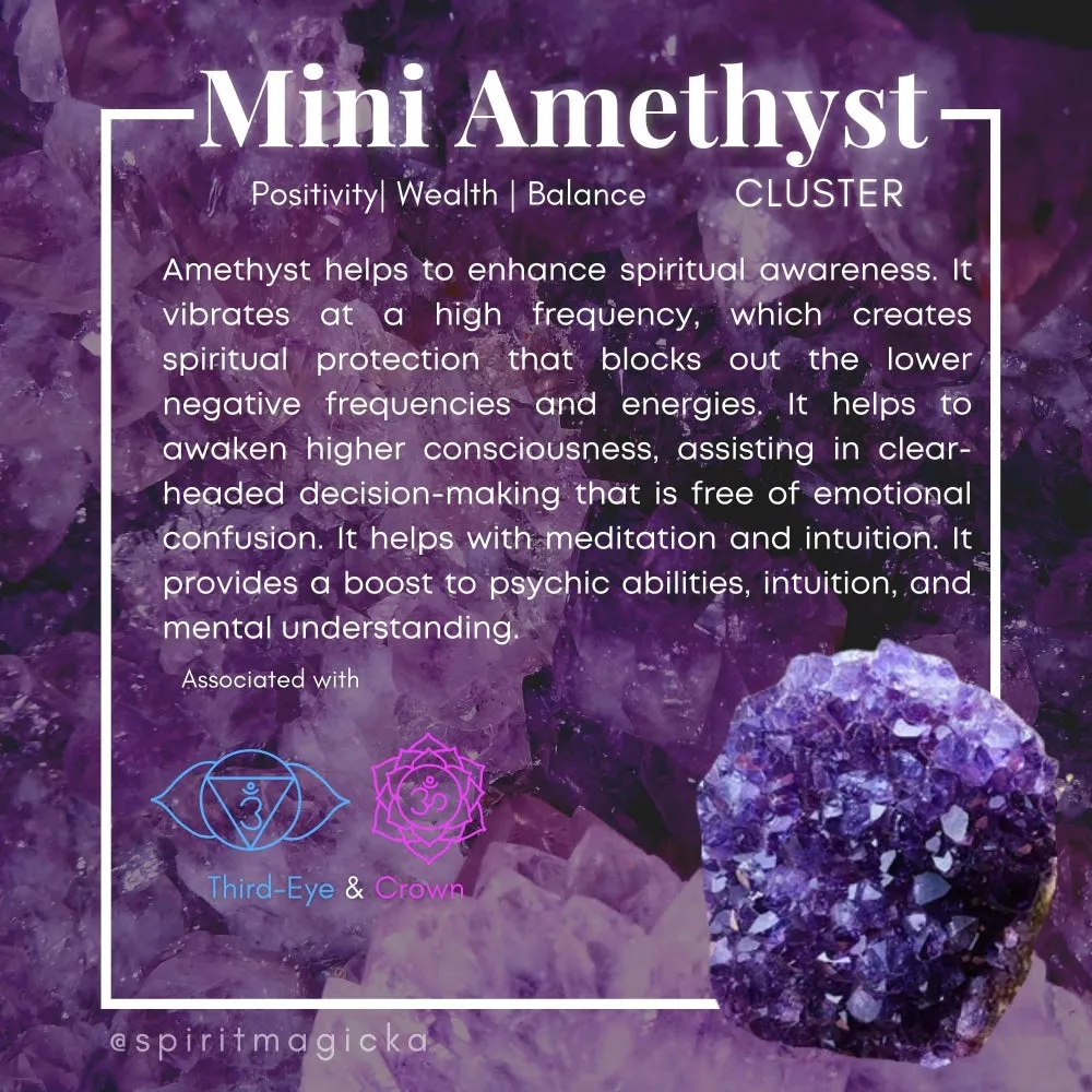 FREE GIVEAWAY! Mini Amethyst Cluster (Just Pay Cost of Shipping)