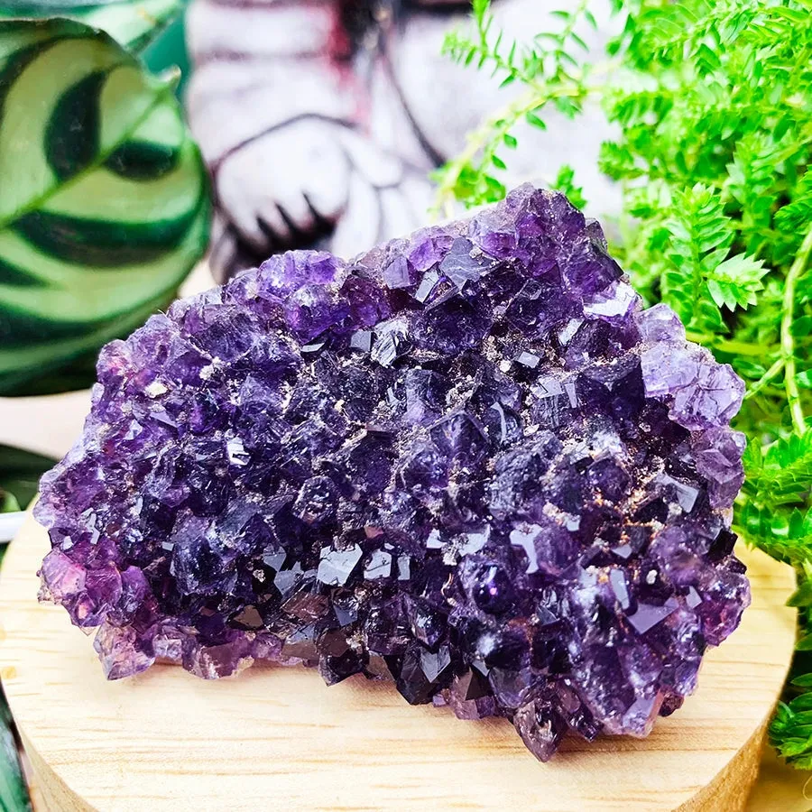 FREE GIVEAWAY! Mini Amethyst Cluster (Just Pay Cost of Shipping)