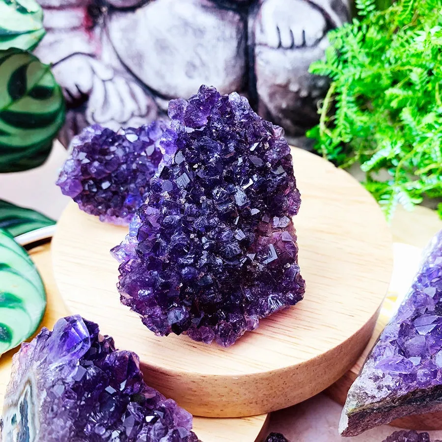 FREE GIVEAWAY! Mini Amethyst Cluster (Just Pay Cost of Shipping)