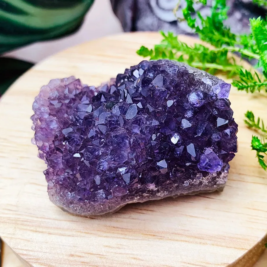 FREE GIVEAWAY! Mini Amethyst Cluster (Just Pay Cost of Shipping)