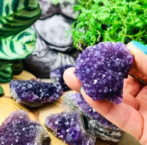 FREE GIVEAWAY! Mini Amethyst Cluster (Just Pay Cost of Shipping)