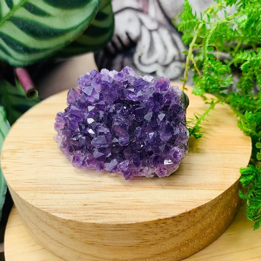 FREE GIVEAWAY! Mini Amethyst Cluster (Just Pay Cost of Shipping)