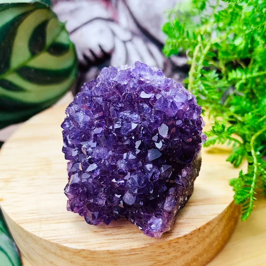 FREE GIVEAWAY! Mini Amethyst Cluster (Just Pay Cost of Shipping)