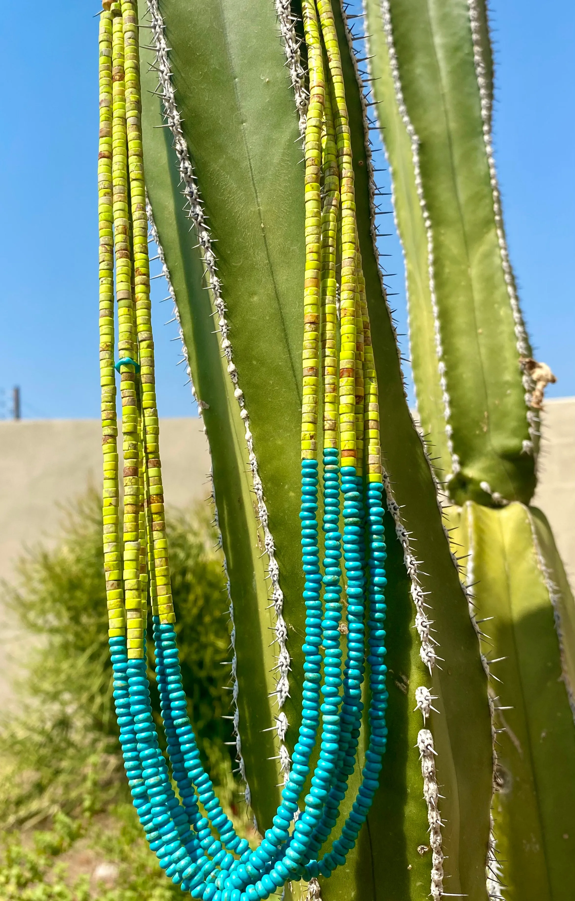 Gaspeite and Turquoise Heishi Necklace