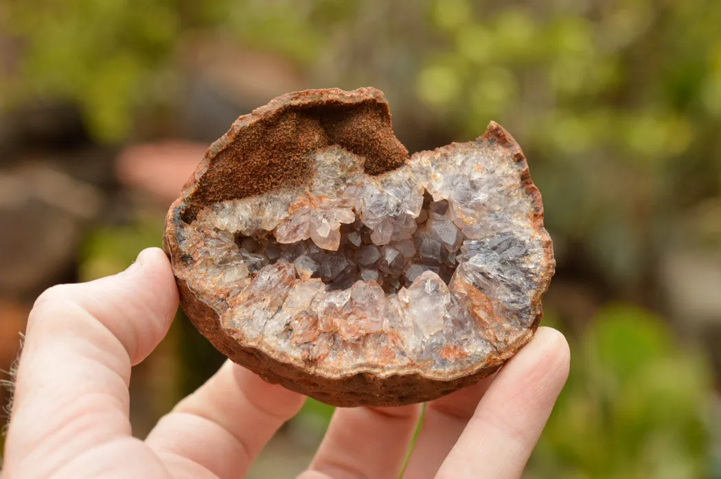 Natural Amethyst & Basalt Geode Specimens x 12 From Zululand, South Africa