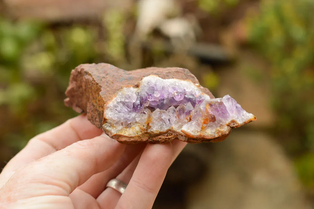 Natural Amethyst & Basalt Geode Specimens x 12 From Zululand, South Africa