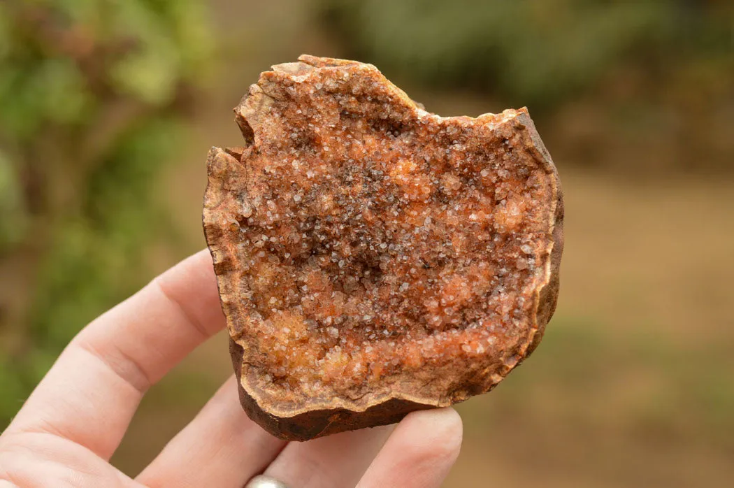 Natural Amethyst & Basalt Geode Specimens x 12 From Zululand, South Africa