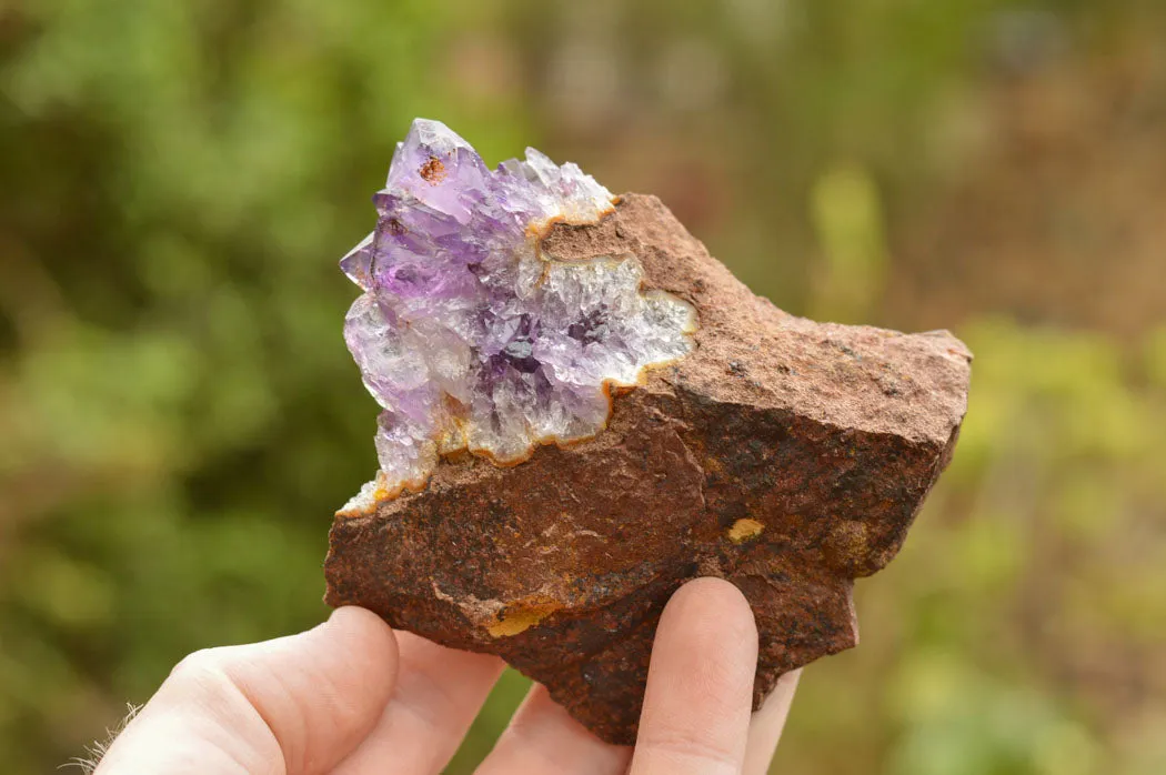 Natural Amethyst & Basalt Geode Specimens x 12 From Zululand, South Africa