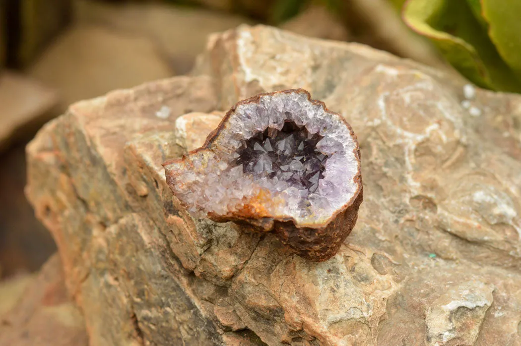 Natural Amethyst & Basalt Geode Specimens x 12 From Zululand, South Africa