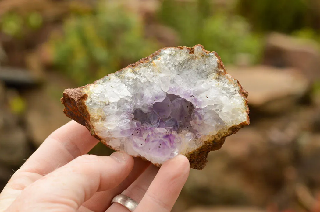 Natural Amethyst & Basalt Geode Specimens x 12 From Zululand, South Africa