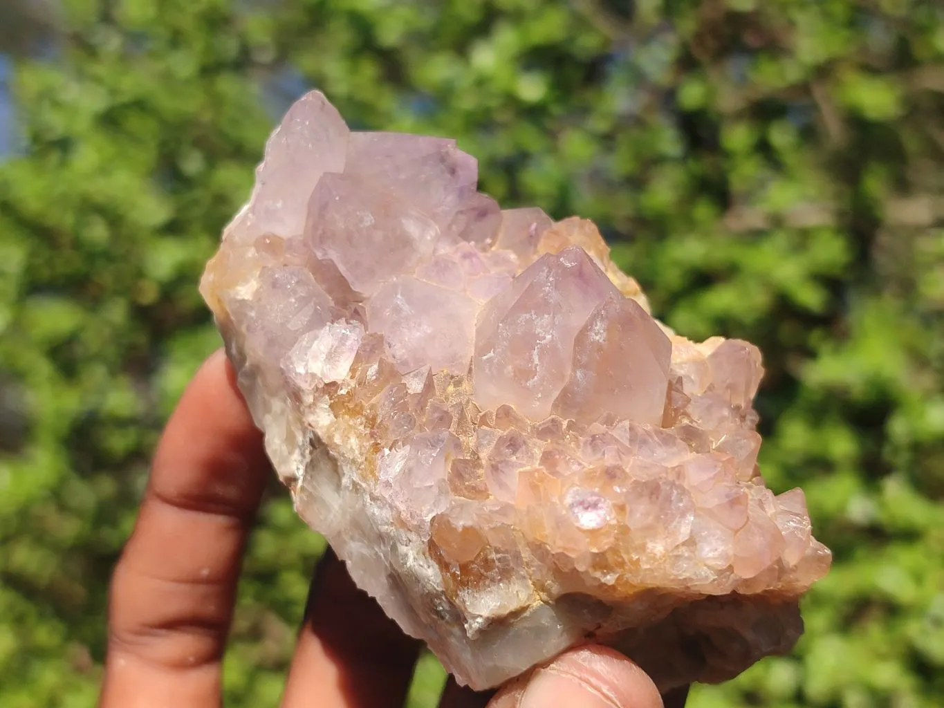 Natural Gorgeous Spirit Amethyst Quartz Clusters x 6 From Boekenhouthoek, South Africa