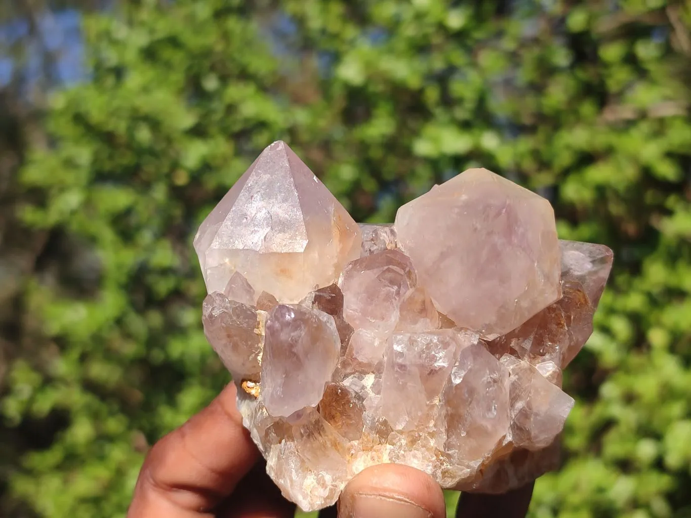 Natural Gorgeous Spirit Amethyst Quartz Clusters x 6 From Boekenhouthoek, South Africa