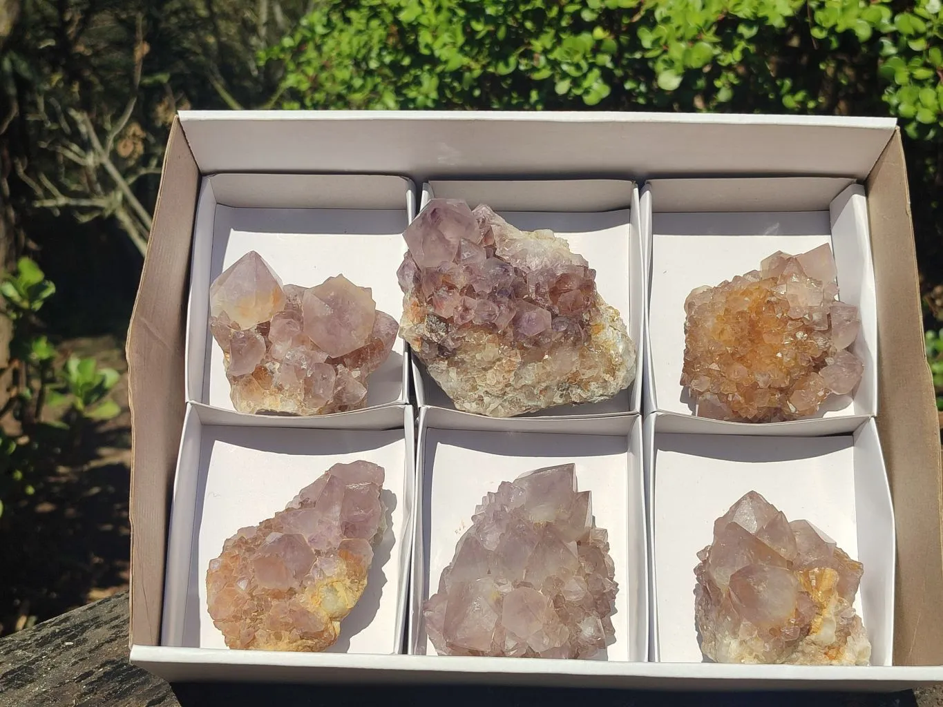 Natural Gorgeous Spirit Amethyst Quartz Clusters x 6 From Boekenhouthoek, South Africa