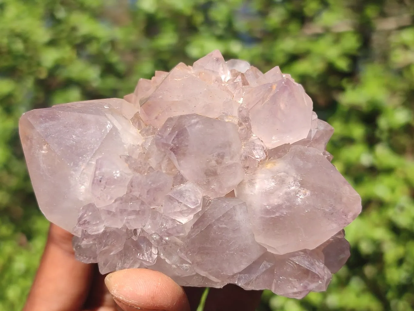 Natural Gorgeous Spirit Amethyst Quartz Clusters x 6 From Boekenhouthoek, South Africa