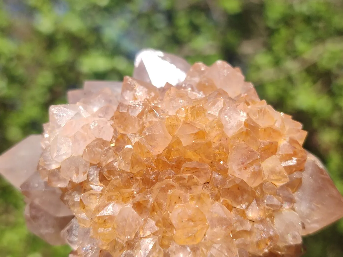 Natural Gorgeous Spirit Amethyst Quartz Clusters x 6 From Boekenhouthoek, South Africa