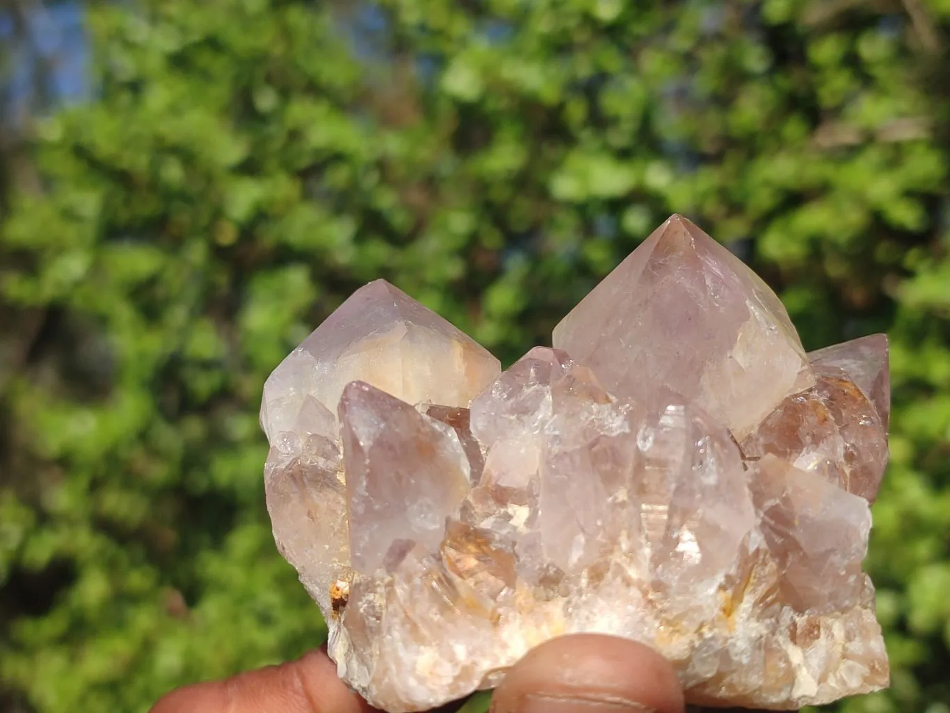 Natural Gorgeous Spirit Amethyst Quartz Clusters x 6 From Boekenhouthoek, South Africa