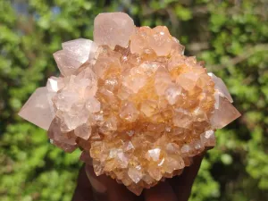 Natural Gorgeous Spirit Amethyst Quartz Clusters x 6 From Boekenhouthoek, South Africa