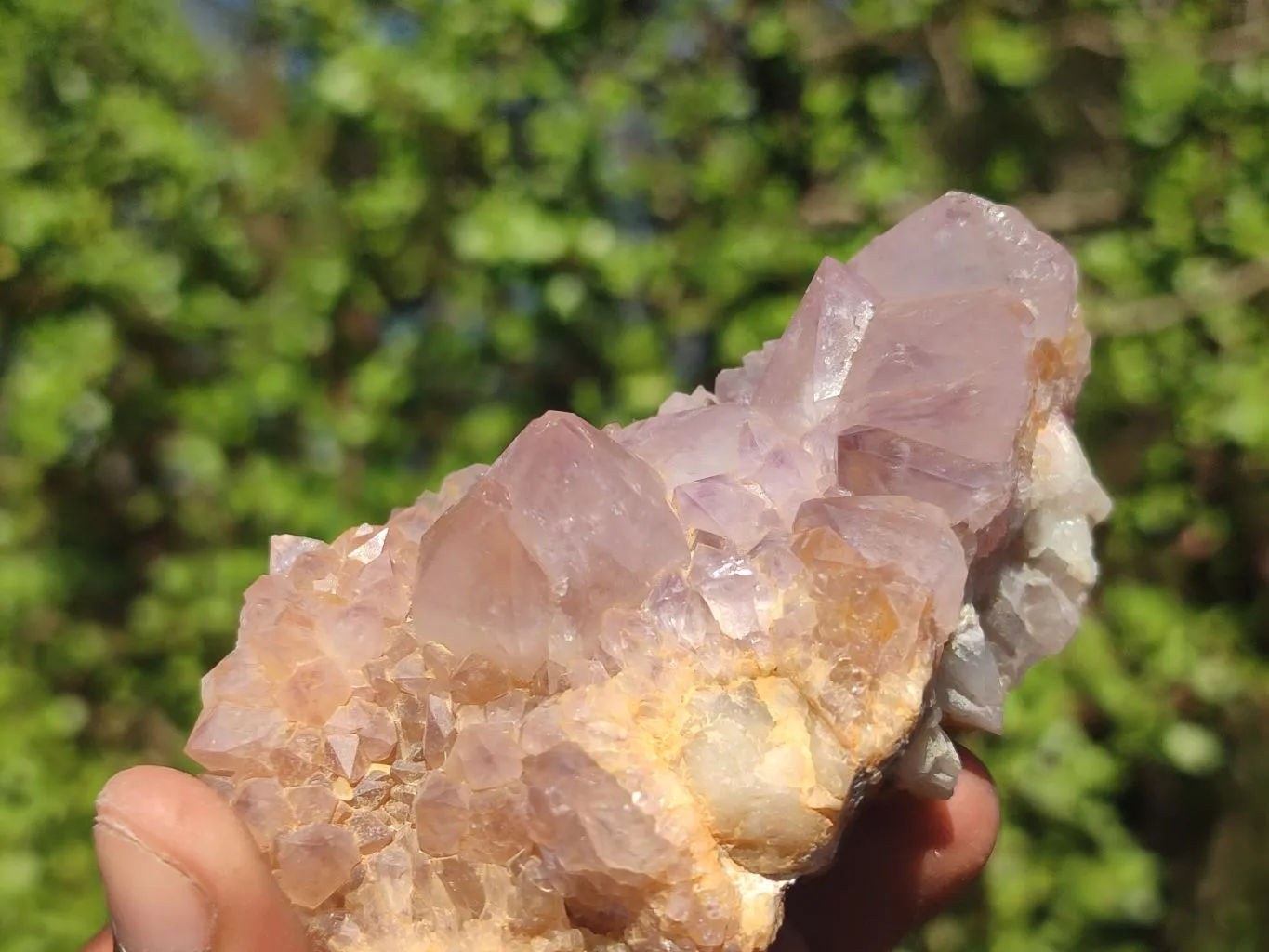 Natural Gorgeous Spirit Amethyst Quartz Clusters x 6 From Boekenhouthoek, South Africa