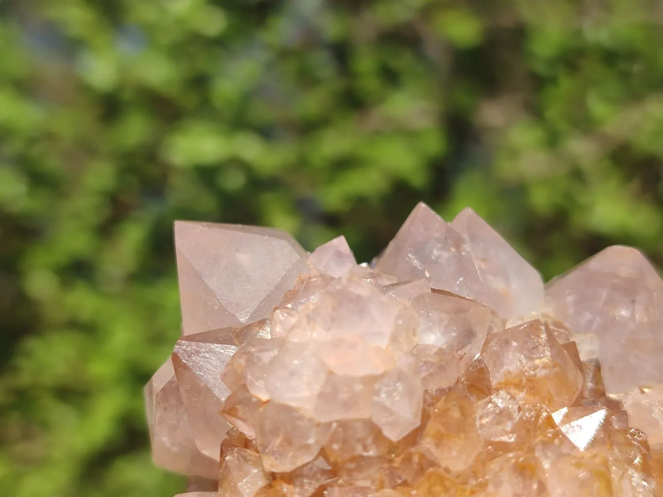 Natural Gorgeous Spirit Amethyst Quartz Clusters x 6 From Boekenhouthoek, South Africa