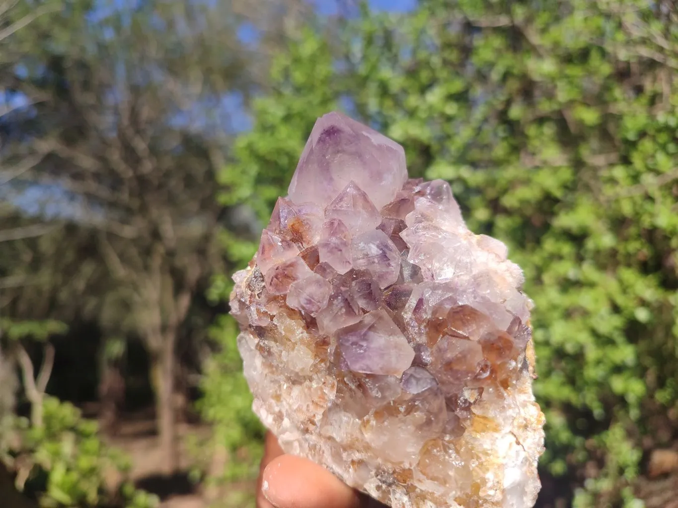 Natural Gorgeous Spirit Amethyst Quartz Clusters x 6 From Boekenhouthoek, South Africa