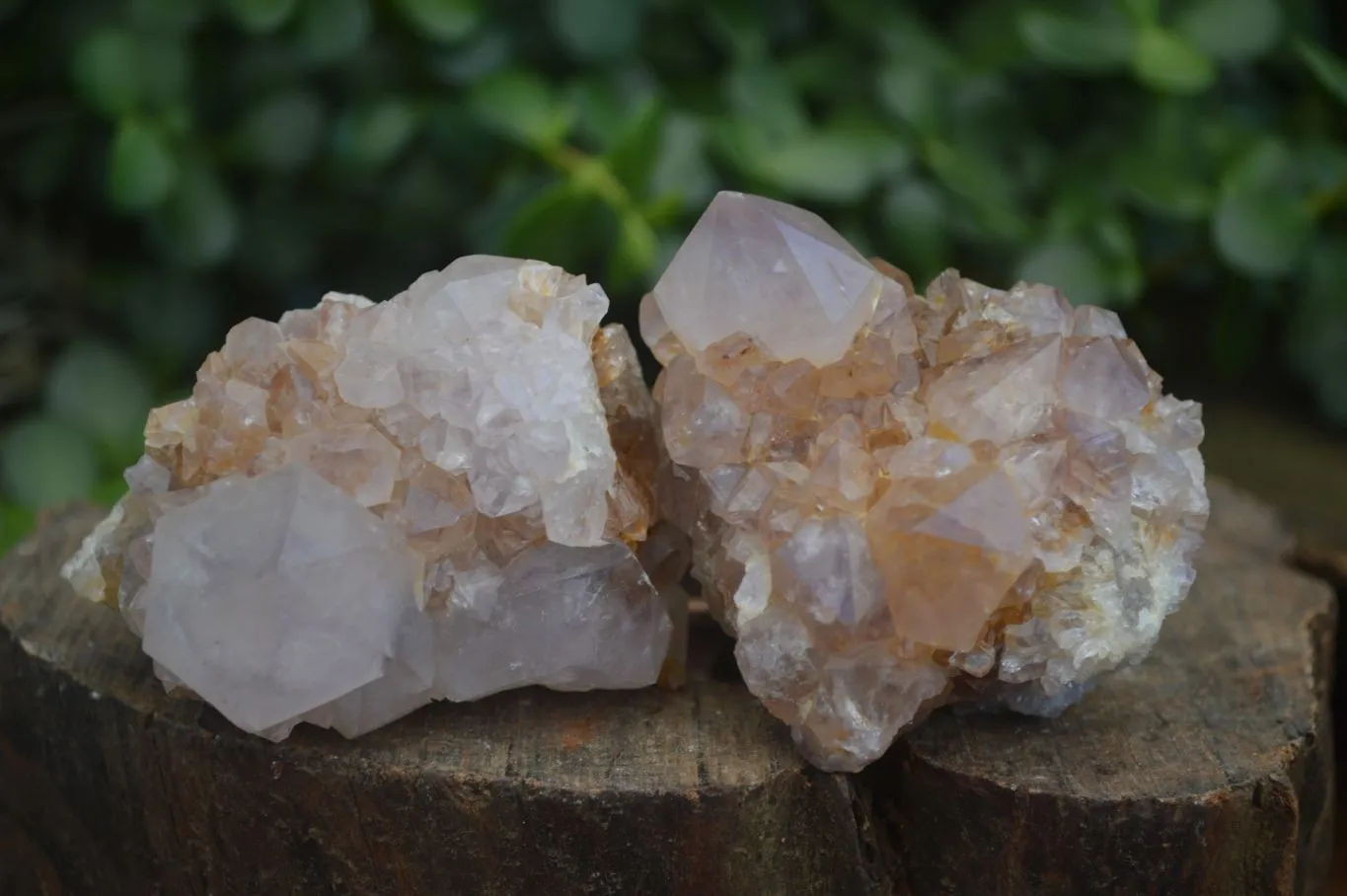 Natural Mixed Selection Of Spirit Amethyst Clusters x 12 From Boekenhouthoek, South Africa