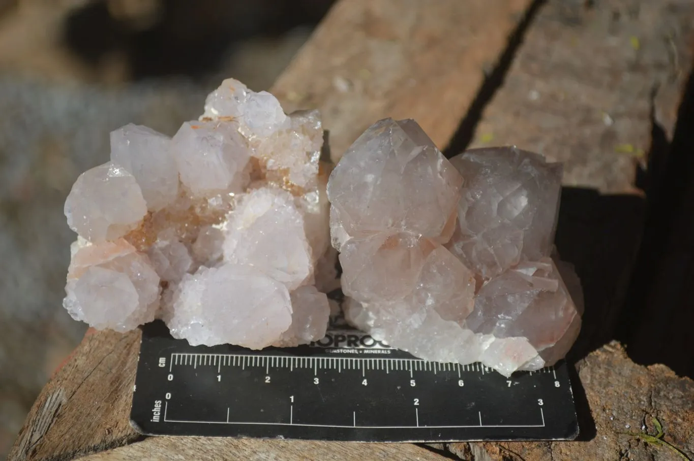 Natural Mixed Selection Of Spirit Amethyst Clusters x 12 From Boekenhouthoek, South Africa