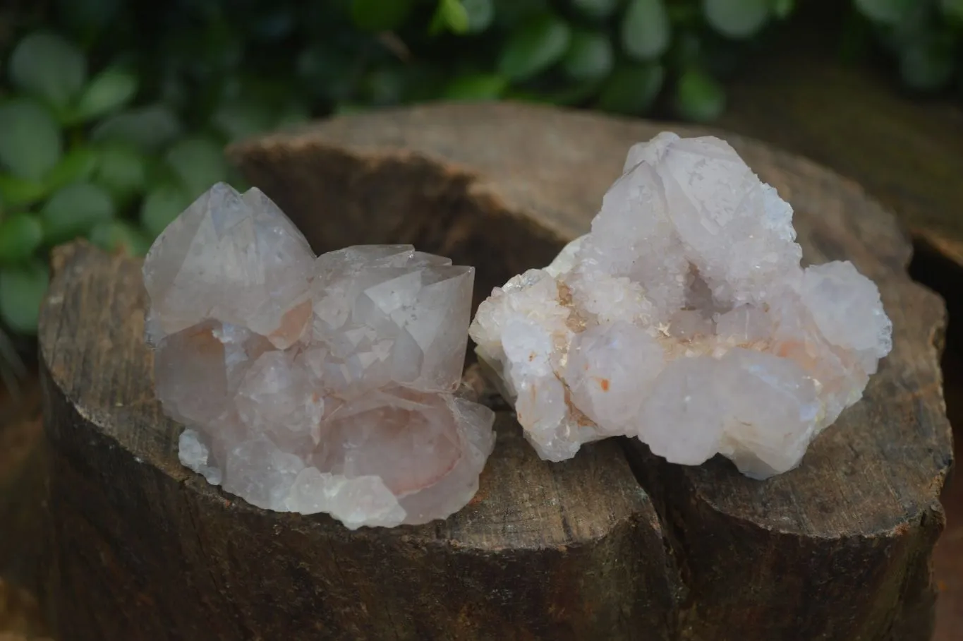 Natural Mixed Selection Of Spirit Amethyst Clusters x 12 From Boekenhouthoek, South Africa