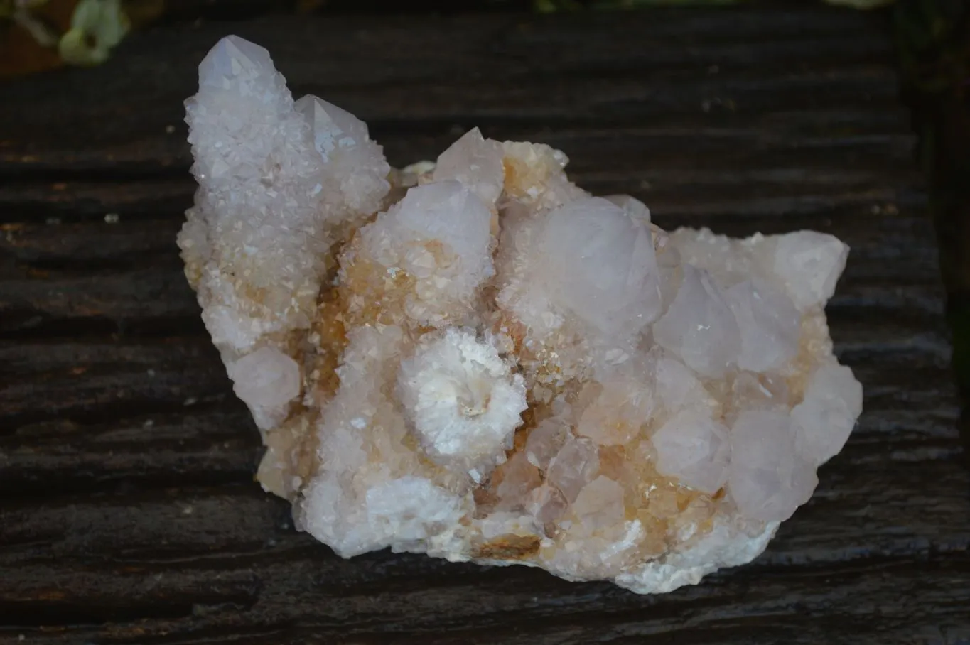 Natural Pale Spirit Ametrine Quartz Clusters x 3 From Boekenhouthoek, South Africa