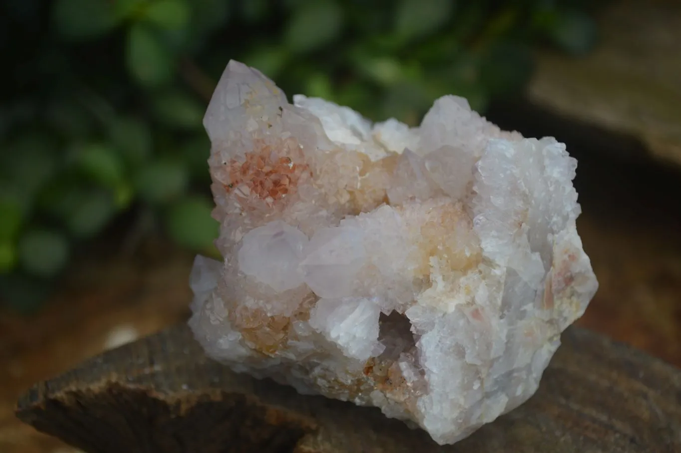 Natural Pale Spirit Ametrine Quartz Clusters x 3 From Boekenhouthoek, South Africa