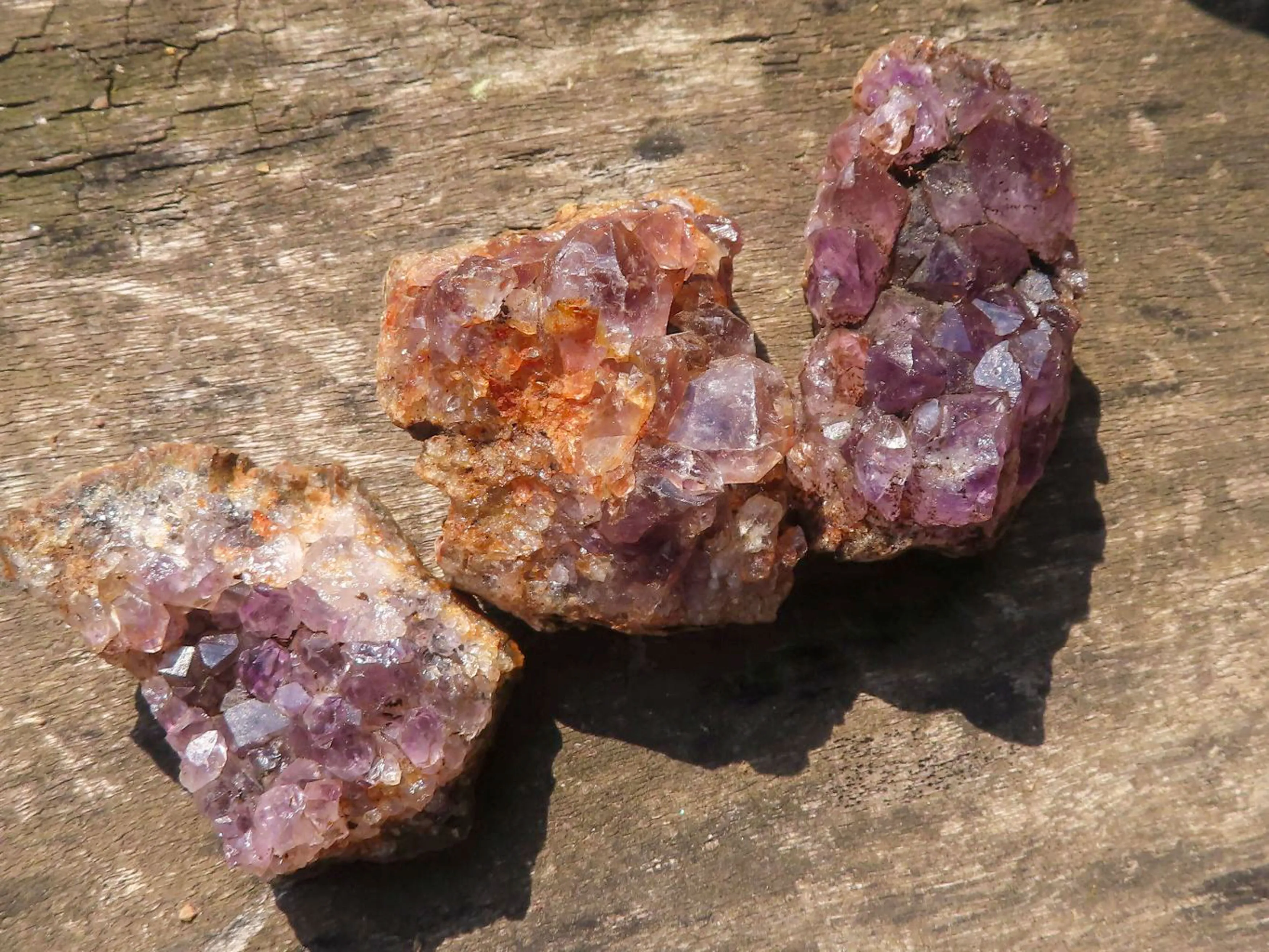 Natural Small Dark Amethyst Geode Specimens x 35 From Zululand, South Africa