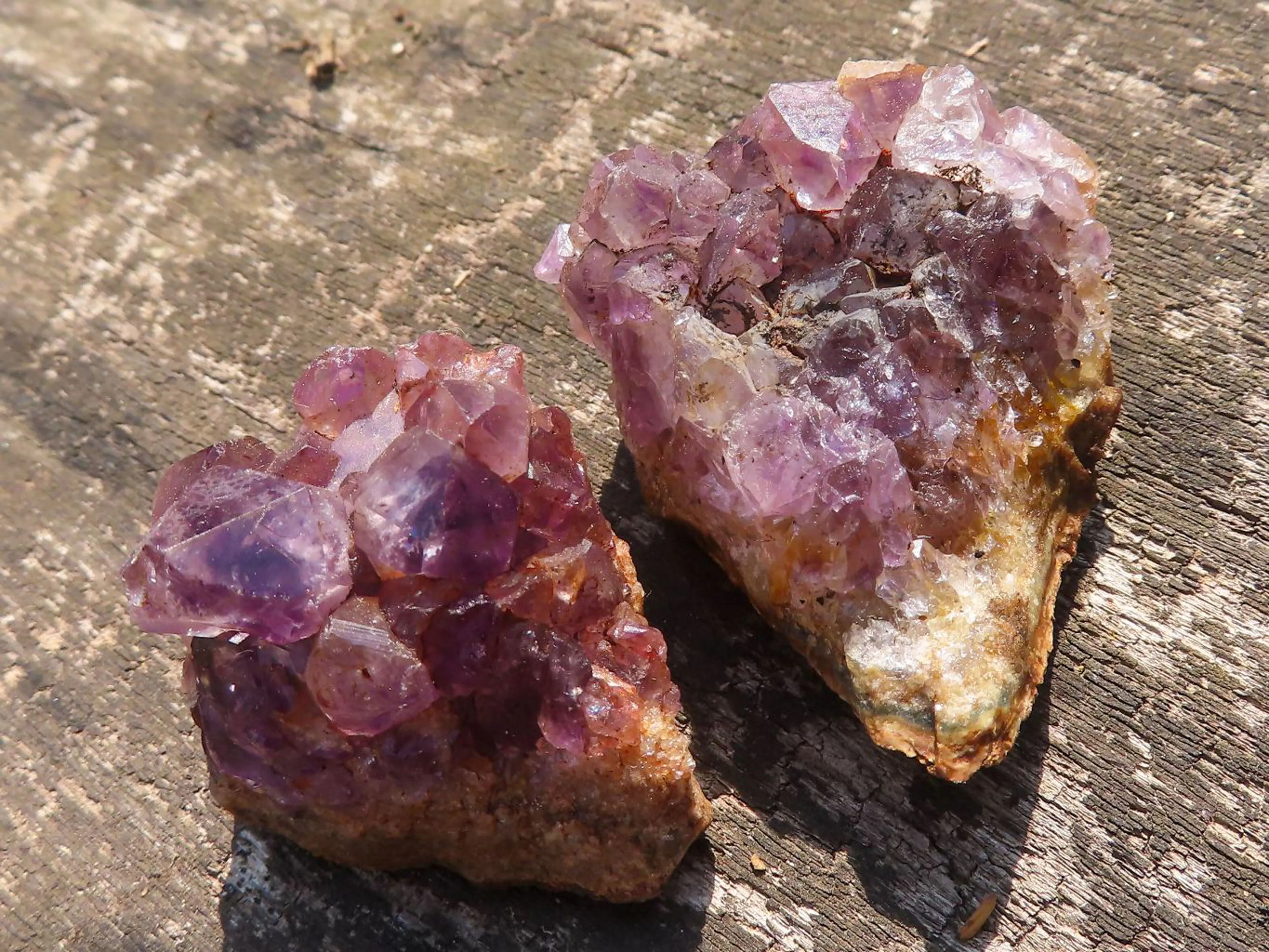 Natural Small Dark Amethyst Geode Specimens x 35 From Zululand, South Africa