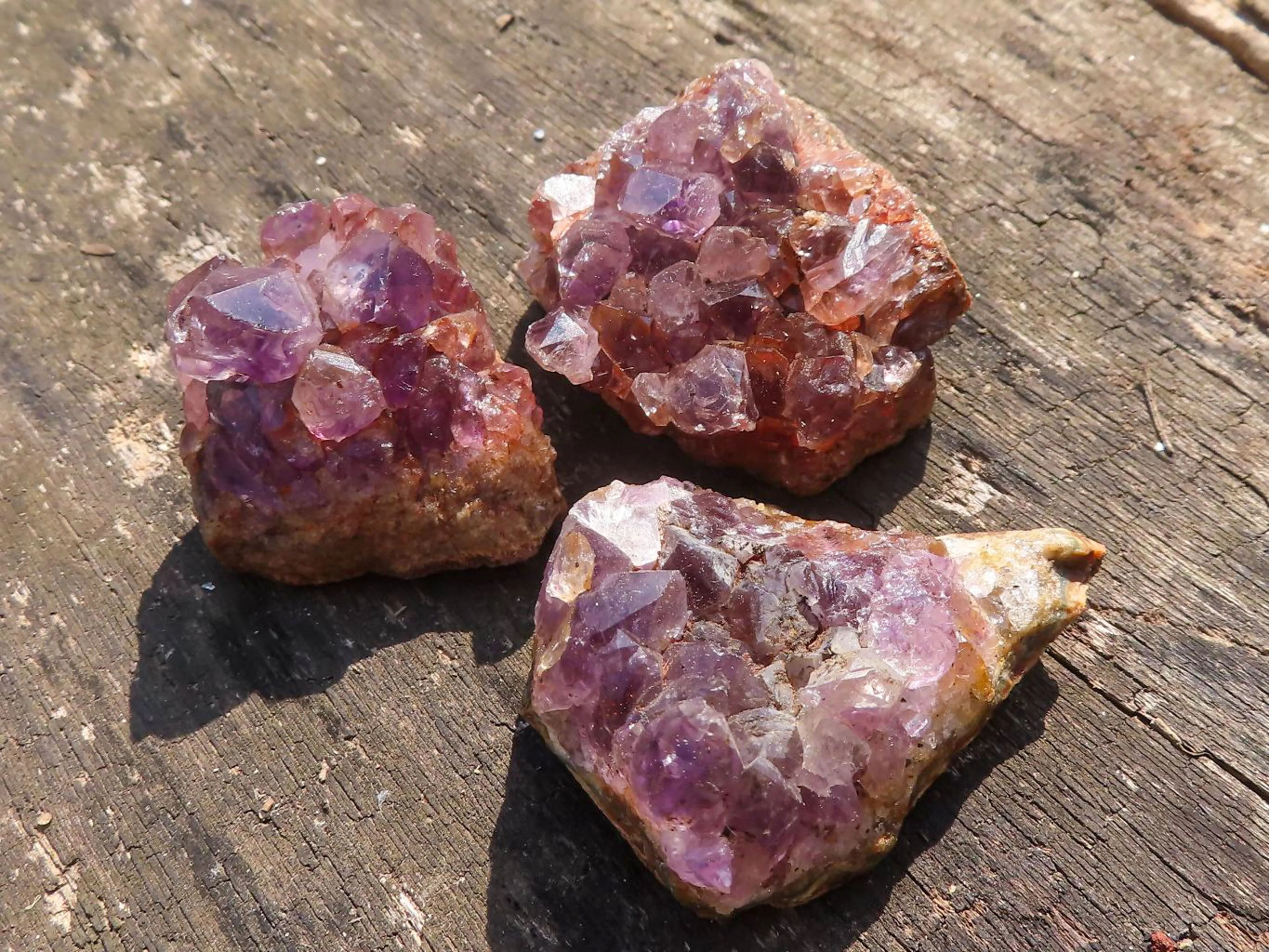 Natural Small Dark Amethyst Geode Specimens x 35 From Zululand, South Africa