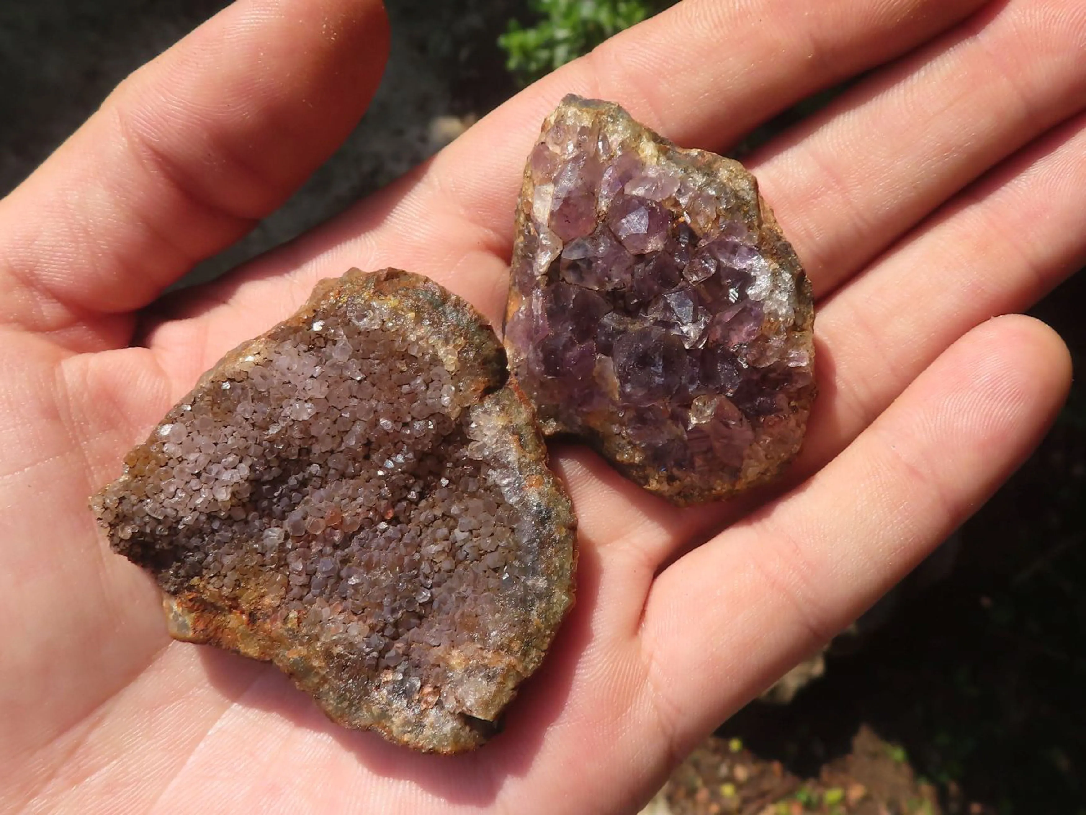 Natural Small Dark Amethyst Geode Specimens x 35 From Zululand, South Africa