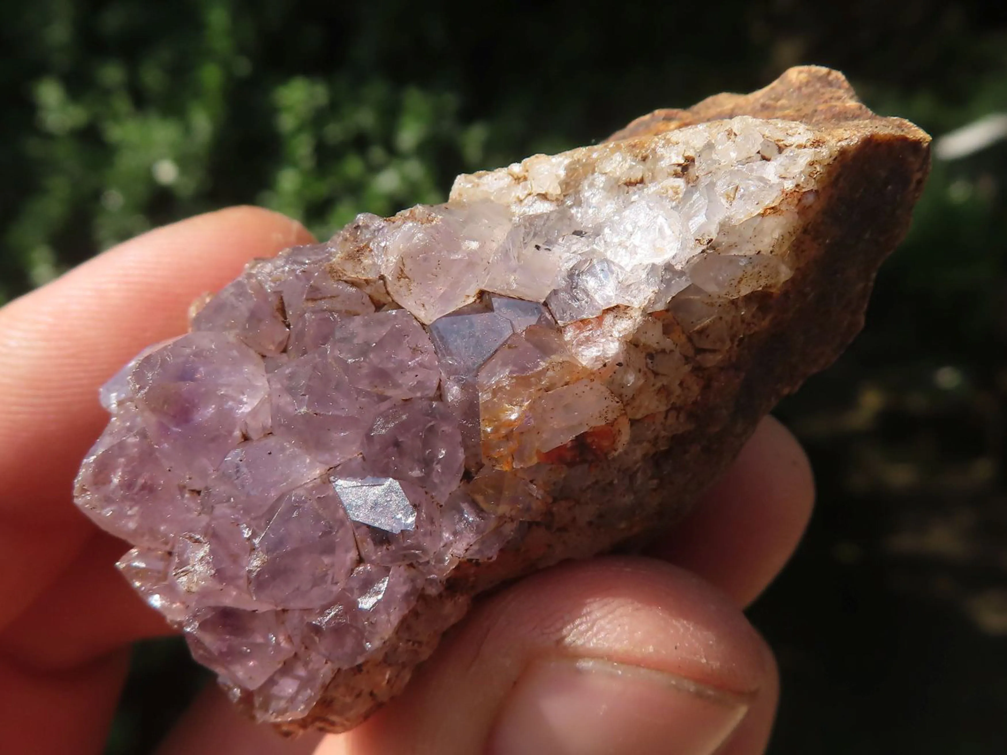 Natural Small Dark Amethyst Geode Specimens x 35 From Zululand, South Africa