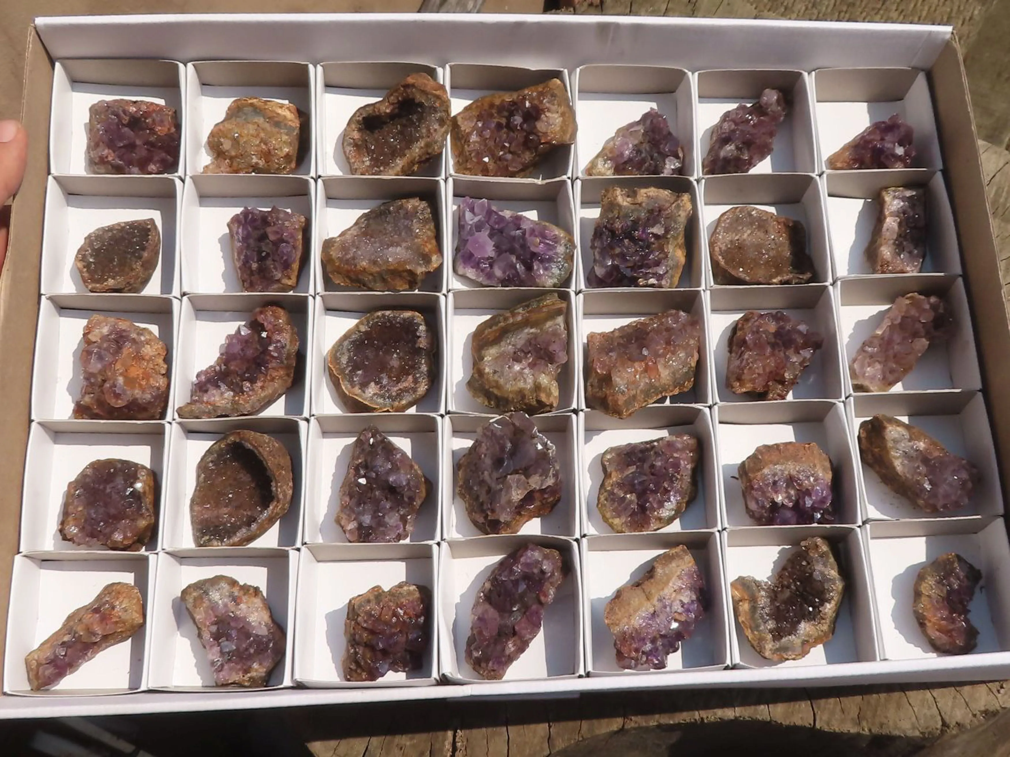 Natural Small Dark Amethyst Geode Specimens x 35 From Zululand, South Africa