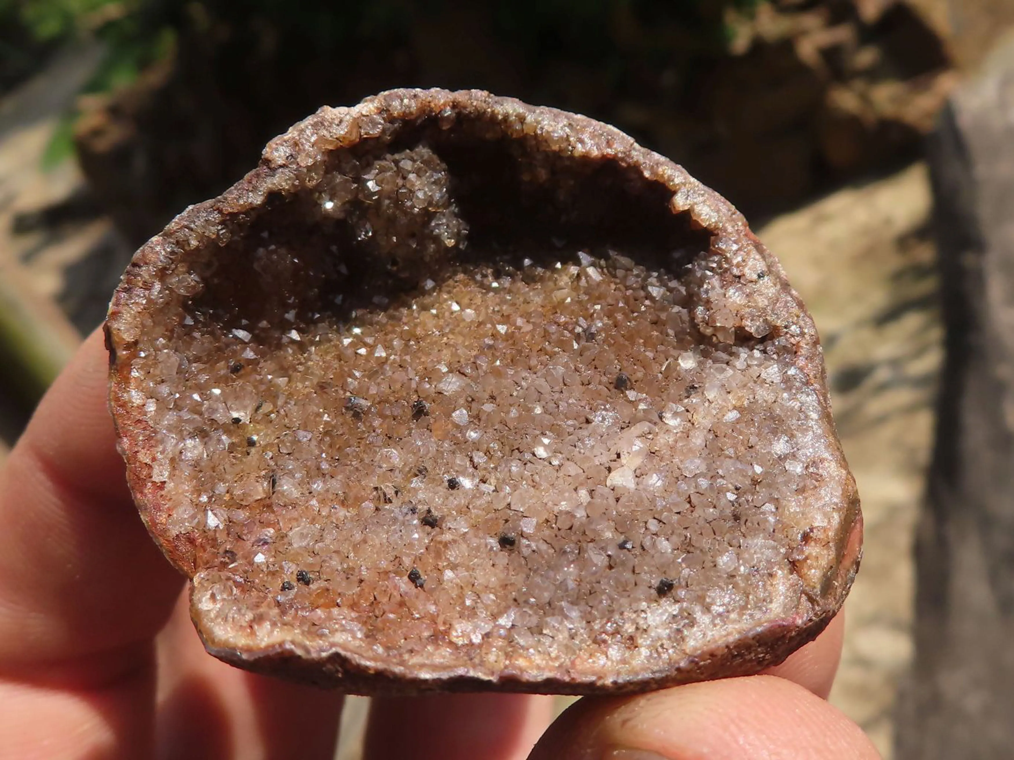 Natural Small Dark Amethyst Geode Specimens x 35 From Zululand, South Africa