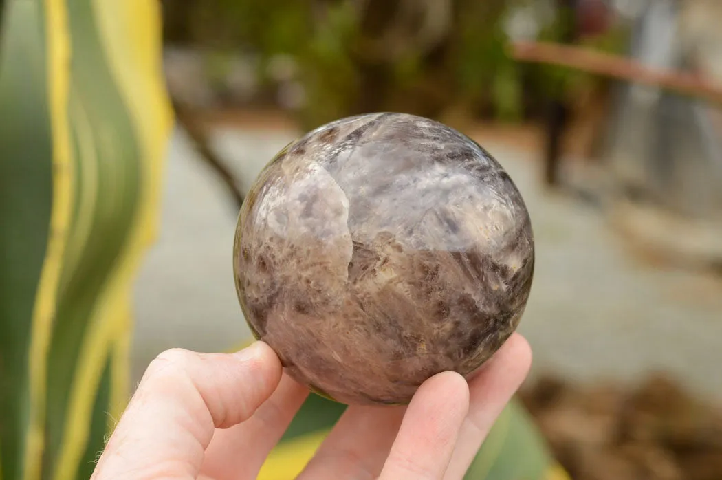 Polished Dream Amethyst Spheres x 3 From Madagascar