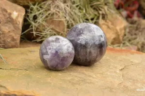 Polished Dream Amethyst Spheres x 3 From Madagascar