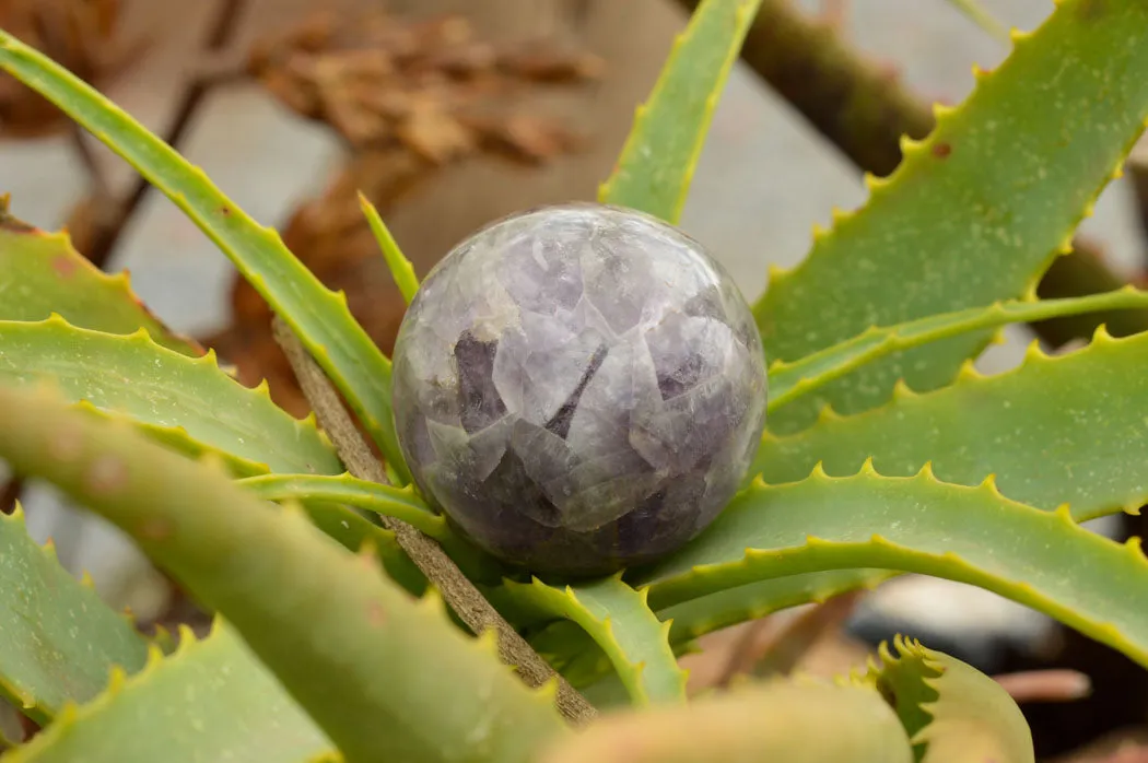 Polished Dream Amethyst Spheres x 3 From Madagascar