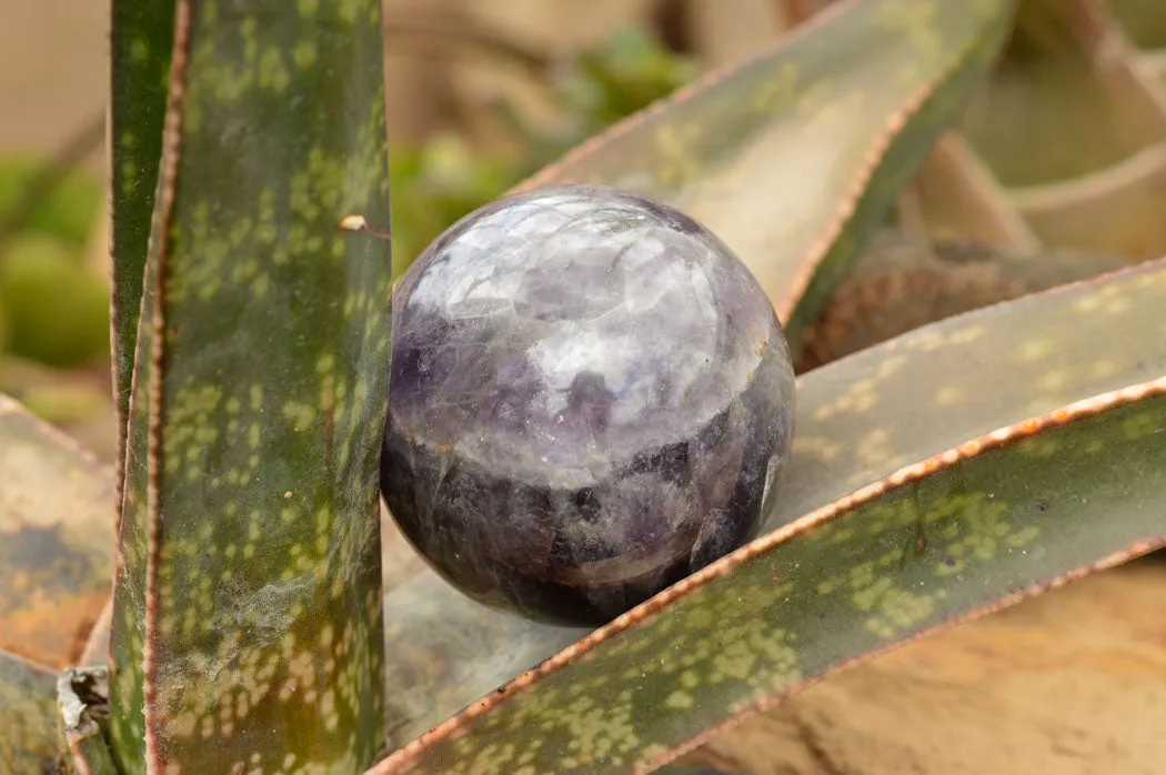 Polished Dream Amethyst Spheres x 3 From Madagascar